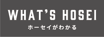WHAT’S HOSEI